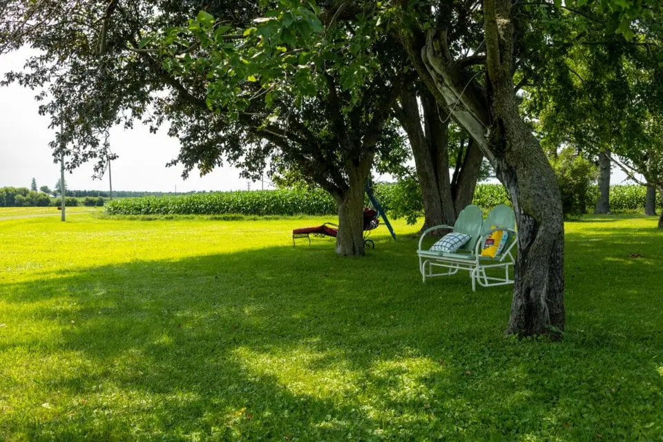 Garden chairs beneath leafy trees beside the farmhouse