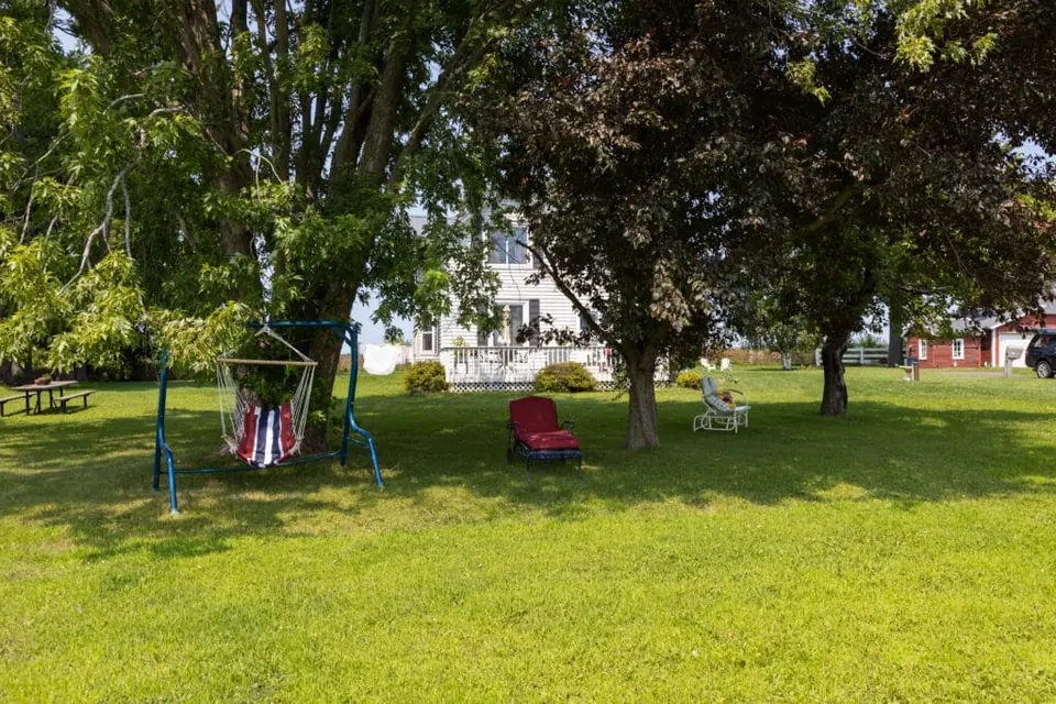 Large shade trees and lawn at the farm