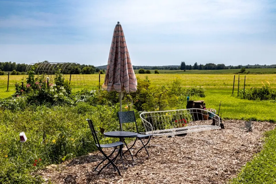 Outdoor garden seating with an umbrella at Longview Farm
