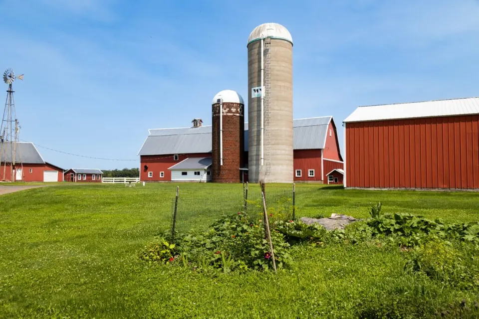 Red barn and concrete silos at Longview Farm