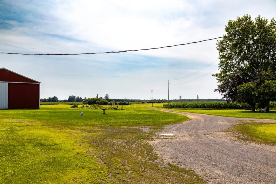 Curving gravel lane between the barn and grassy fields