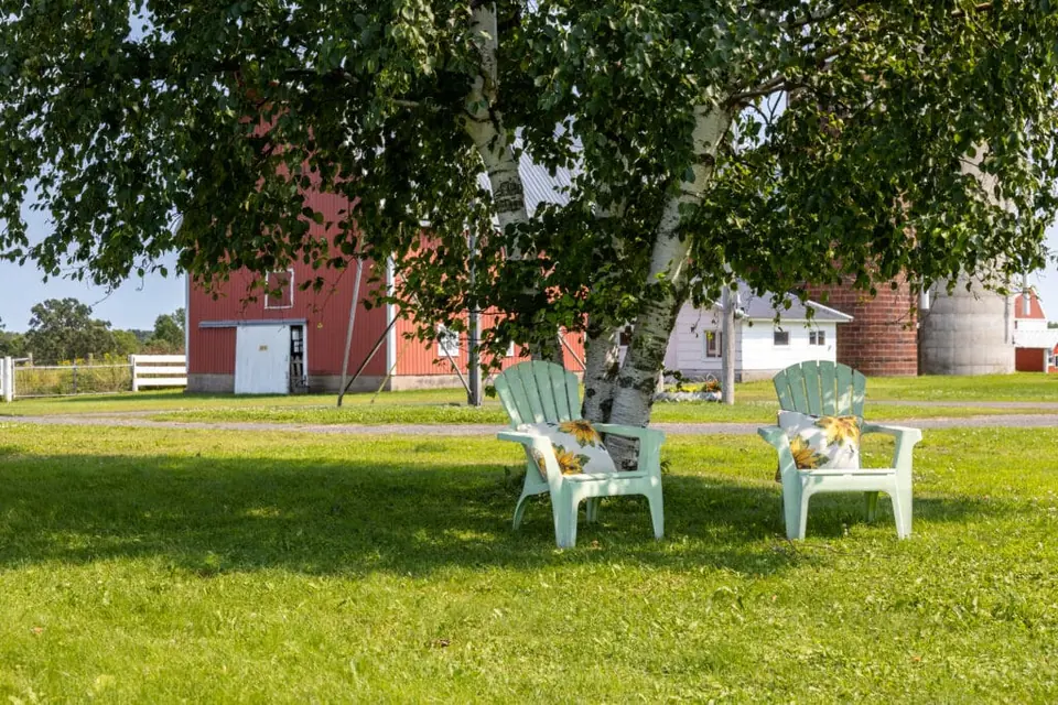 Lawn chairs beneath a tree with the farm buildings beyond