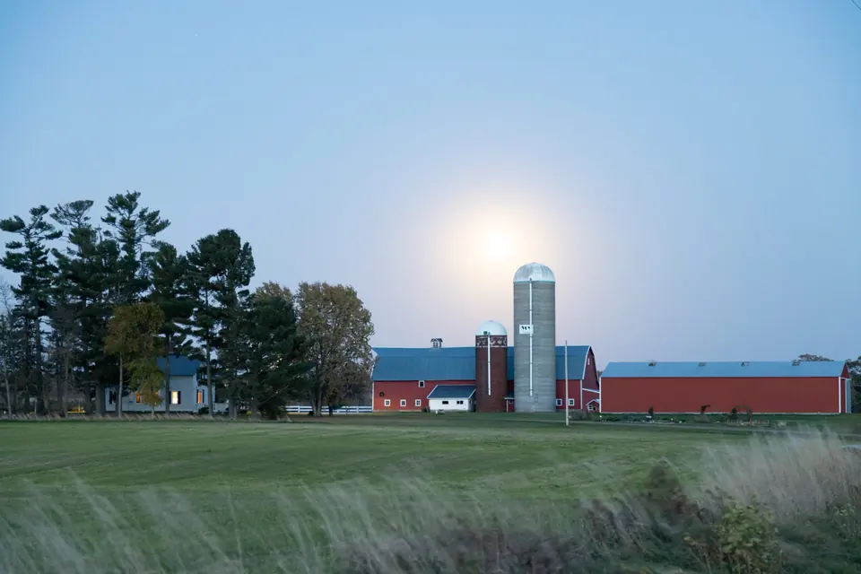 Longview Farm's barn, silos and fields in the evening light