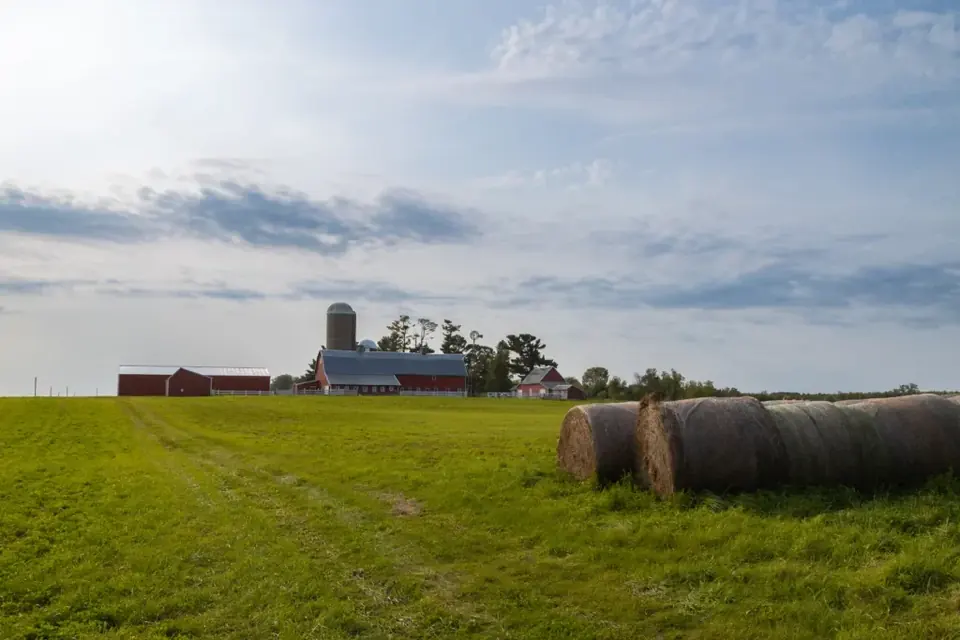 Round hay bales with red barns and silos in the distance